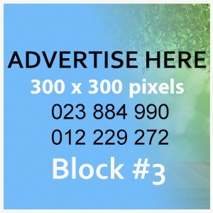 300X300
