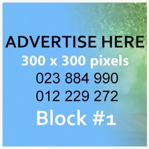 300X300