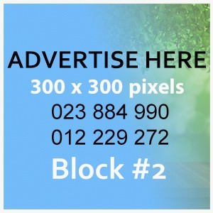 300X300